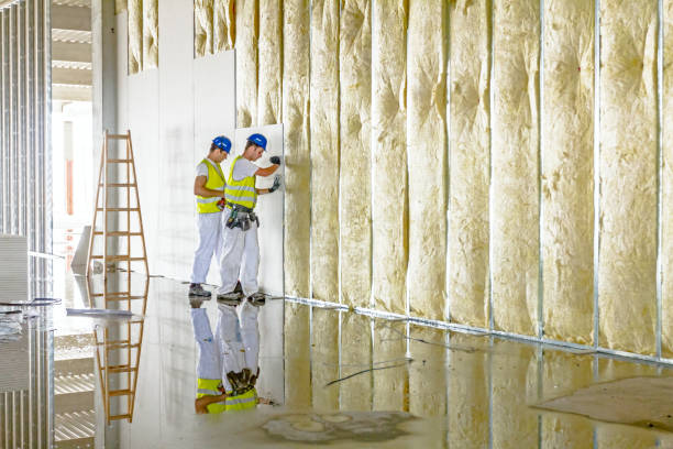 Best Insulation Maintenance and Repair in Oli, PA